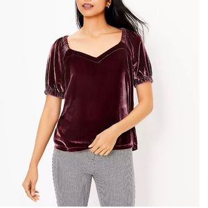 Loft velvet puff sleeve top